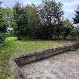 Piotr Babiarz - Widok na wyrównany trawnik z obrzeżem i fragmentem betonowej nawierzchni. Trawa krótko skoszona, drzewa w tle. Pochmurne niebo.