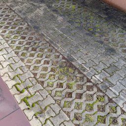 Piotr Babiarz - Szara ażurowa kostka brukowa z mchem i trawą w szczelinach, przylegająca do ściany budynku. Widoczne zabrudzenia i ślady po wodzie na elewacji.