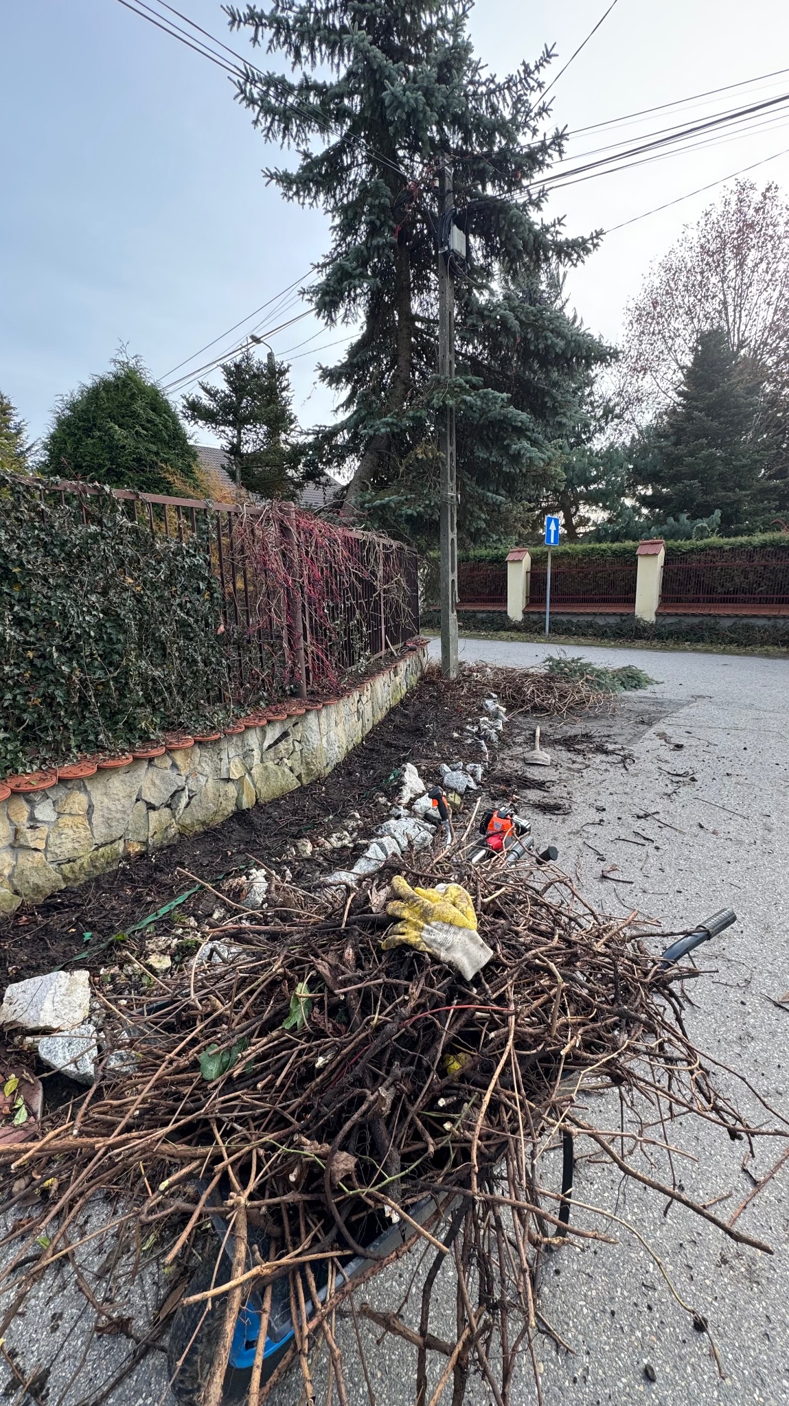 Po wycince drzew i krzewów: gałęzie w taczce, rękawica robocza, piła łańcuchowa obok rabaty z krzewami i drzewami iglastymi przy ogrodzeniu.