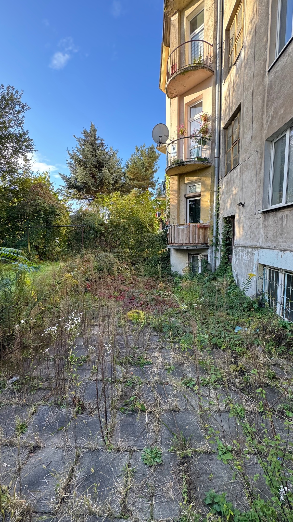 Zarośnięty ogród przy budynku z balkonami. Chwasty na betonowej nawierzchni, bujna roślinność zasłaniająca część elewacji. Zaniedbany teren zielony.