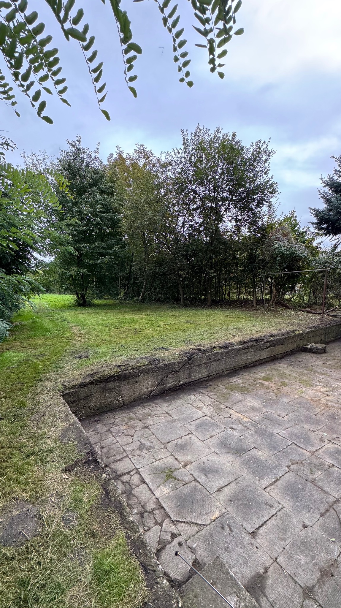 Widok na wyrównany trawnik z obrzeżem i fragmentem betonowej nawierzchni. Trawa krótko skoszona, drzewa w tle. Pochmurne niebo.