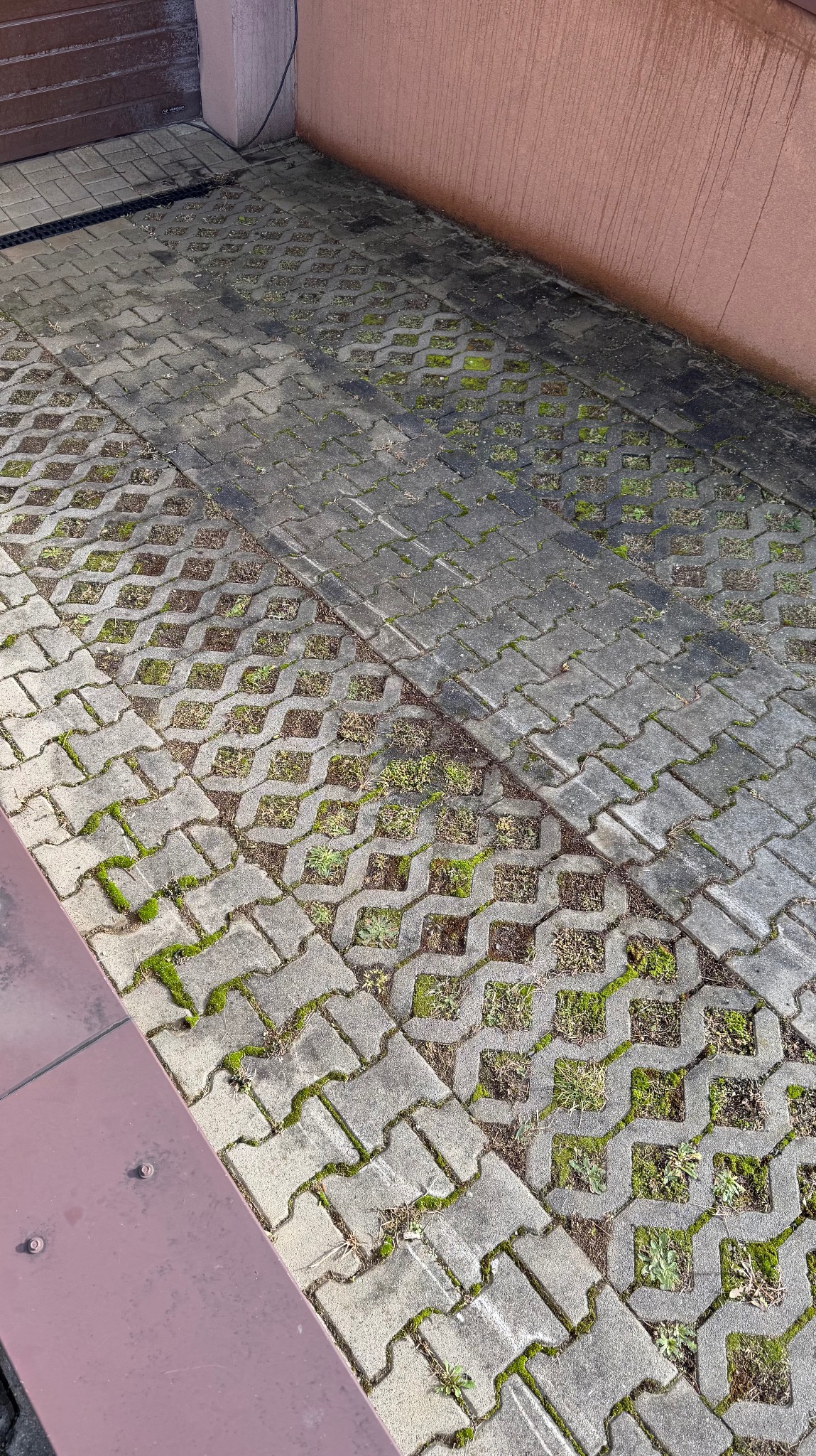 Szara ażurowa kostka brukowa z mchem i trawą w szczelinach, przylegająca do ściany budynku. Widoczne zabrudzenia i ślady po wodzie na elewacji.