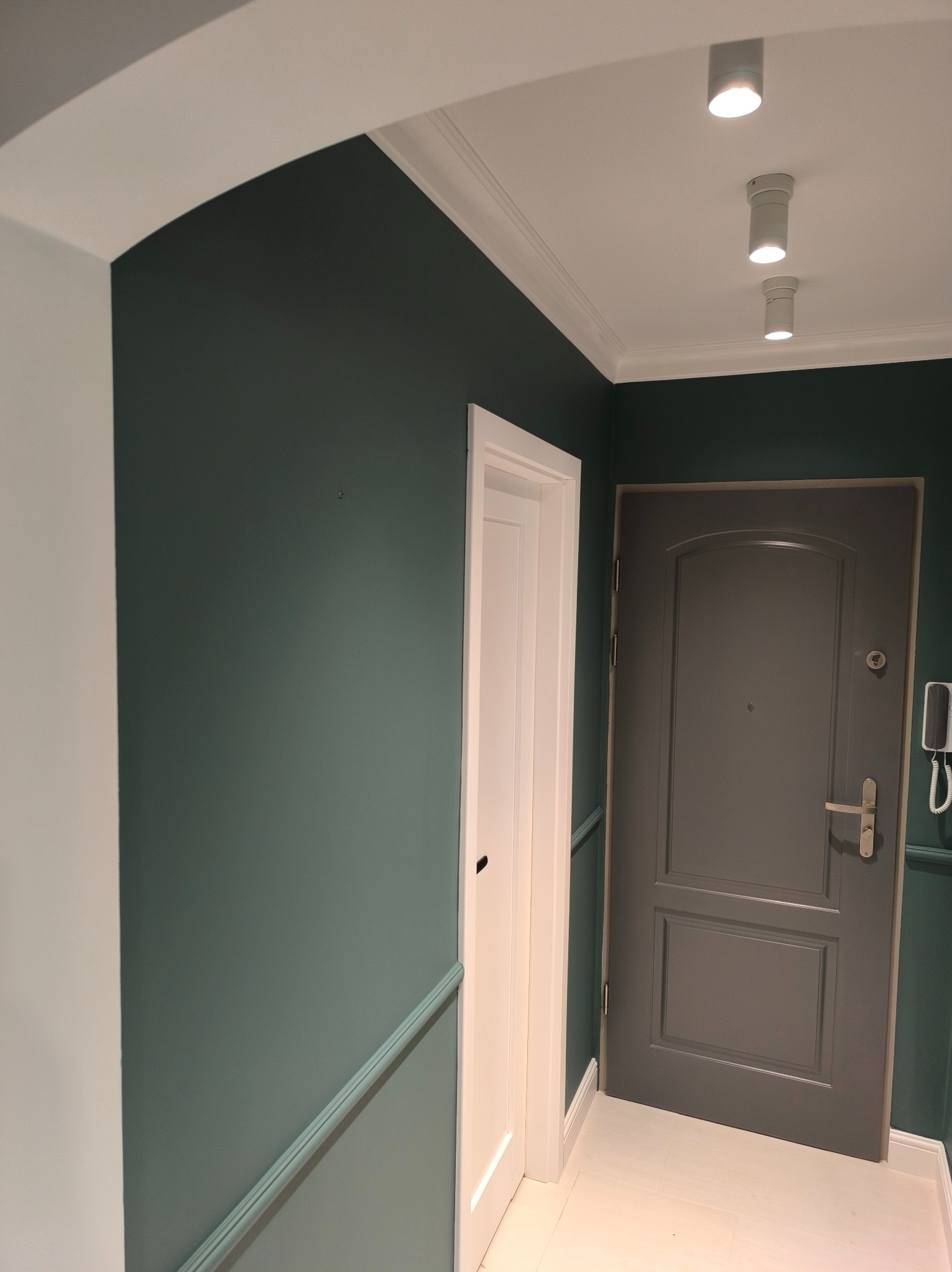 Nowoczesny przedpokój z ciemnozielonymi ścianami, białymi listwami przypodłogowymi i drzwiami. Na suficie trzy punktowe lampy. Widoczny fragment białego łuku.