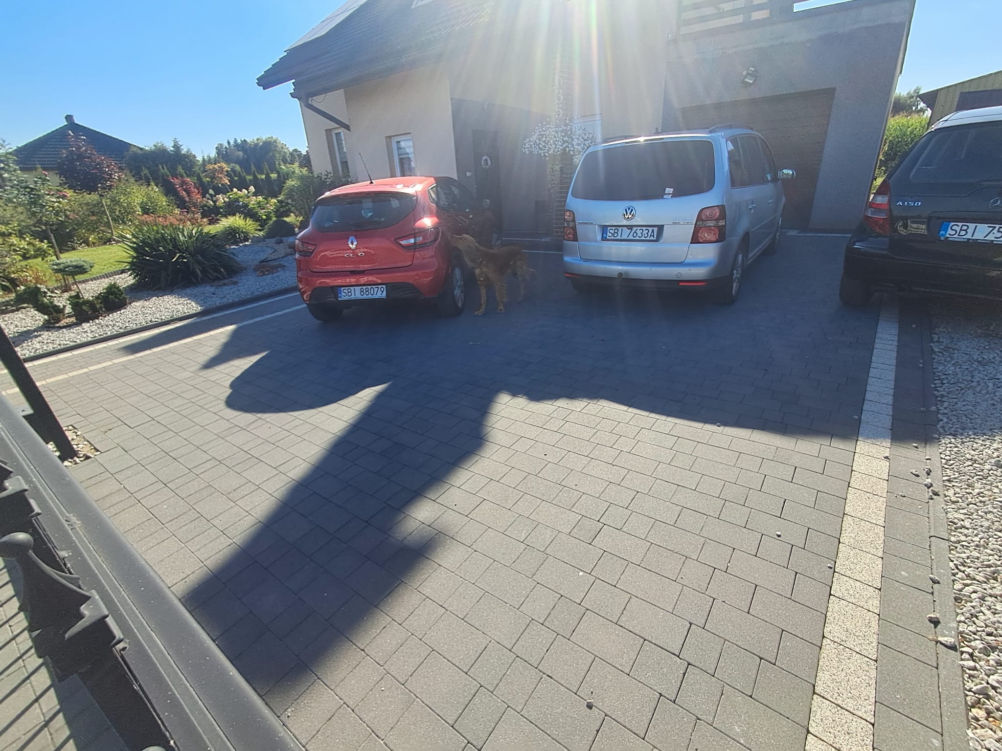 Ułożona kostka brukowa na podjeździe przed domem jednorodzinnym. Dwa samochody zaparkowane obok siebie. Dwa psy w pobliżu czerwonego auta. Słoneczny dzień.