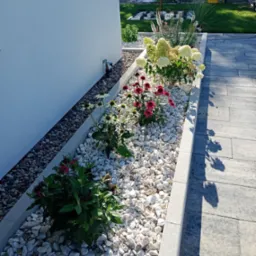 Kaskada białych kamieni wzdłuż ścieżki, obsadzona różnorodnymi kwiatami. Kompozycja z hortensjami i jeżówkami w ogrodzie przydomowym, w słoneczny dzień.