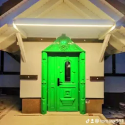 Jaskrawo zielone, ozdobne drzwi wejściowe z motywem lwa podświetlonym na zielono, zamontowane w budynku z białym dachem i zewnętrznym oświetleniem.