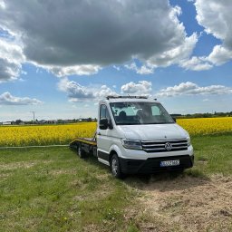 Blik- Blik Iwona Zielona - Transport Samochodu z Włoch Ścinawa