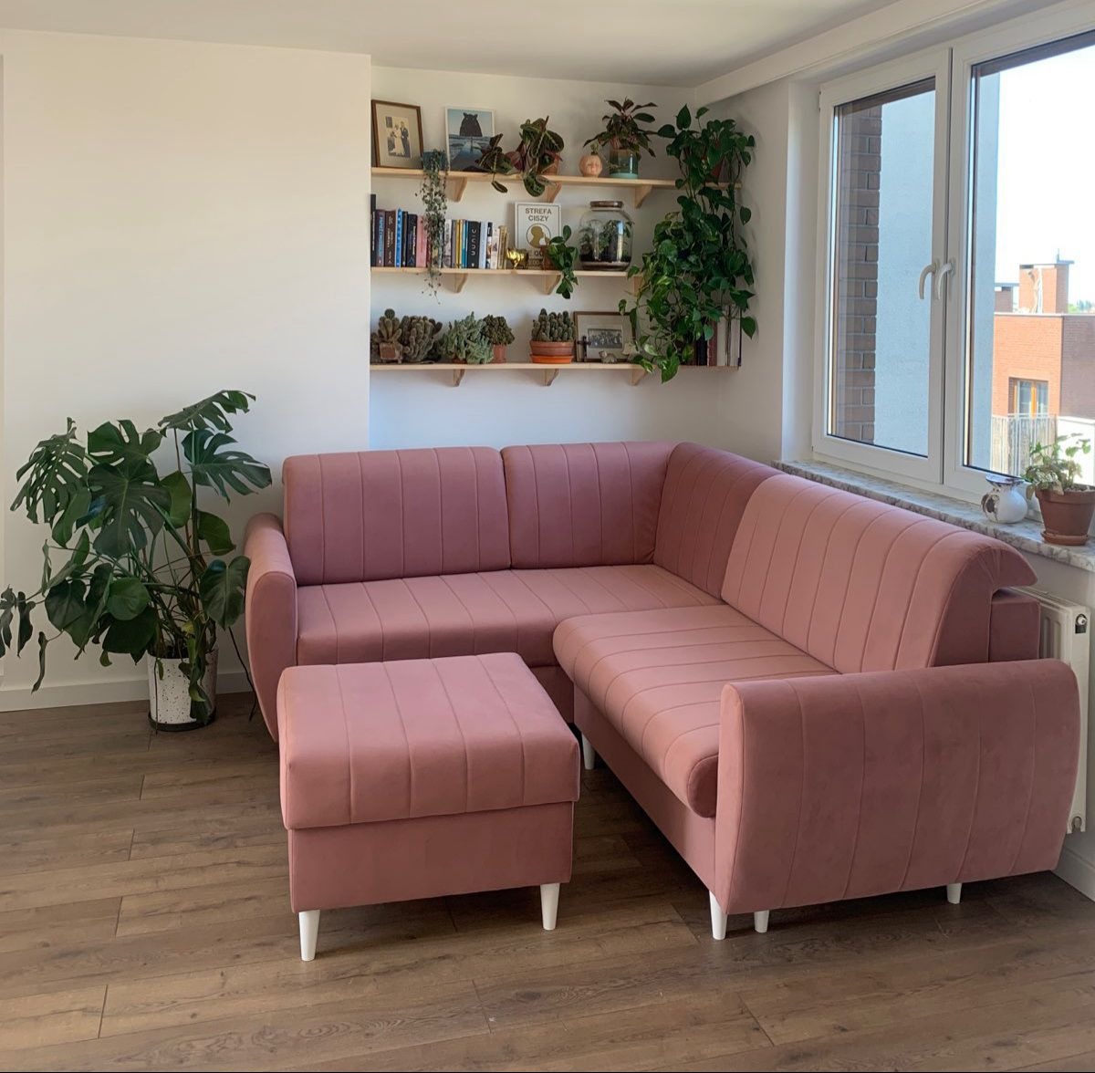 Różowa sofa narożna z pufą w salonie w Oleśnicy. Sofa z pionowymi przeszyciami, na białych nóżkach. Na ścianie półki z roślinami i książkami, obok okno.