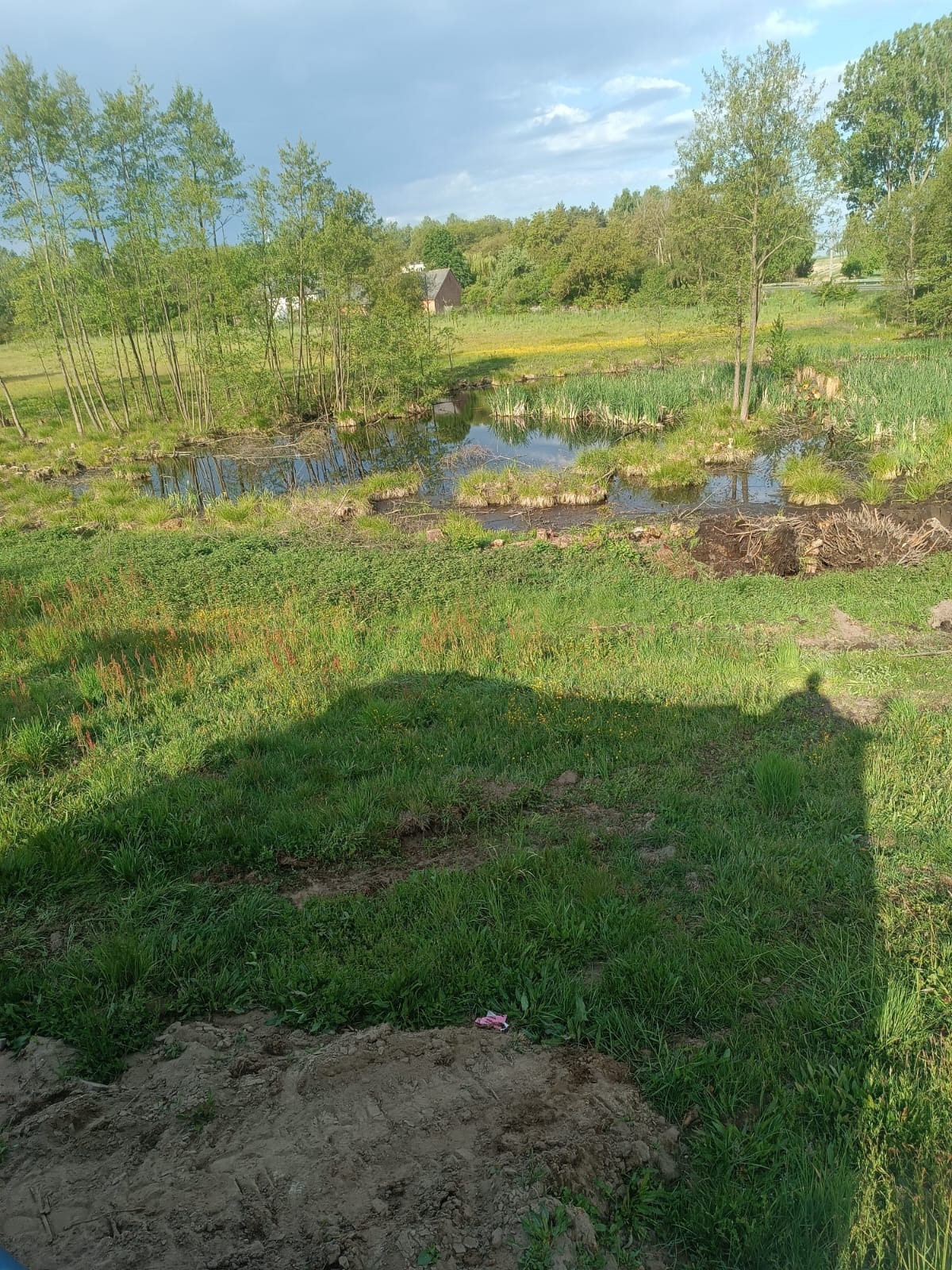 Naturalny krajobraz z małym stawem otoczonym zielenią i drzewami. W tle widoczny budynek. Cień osoby w prawym dolnym rogu. Słoneczny dzień, częściowe zachmurzenie.