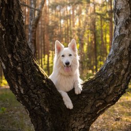 Fotograf wnętrz Warszawa 4