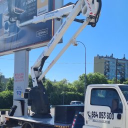 Wycinka drzew Handzlówka 3