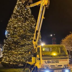 Wycinka drzew Handzlówka 2