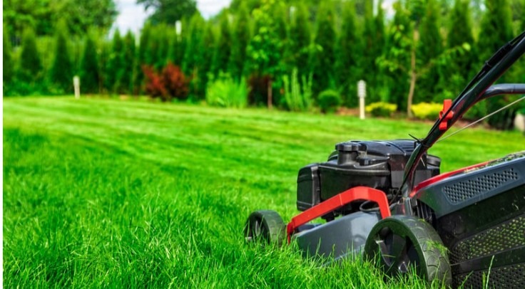 Świeżo skoszony trawnik z widocznymi pasami, z kosiarką w prawym dolnym rogu. W tle zielone krzewy i drzewa.