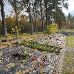 Zakładanie ogrodów Elbląg - avatar