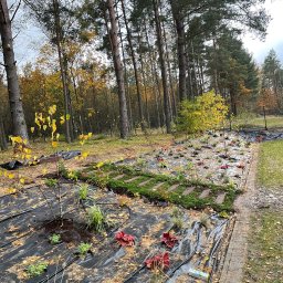 Zakładanie ogrodów Pasłęk 2