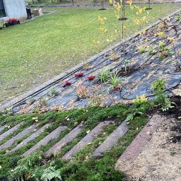 Zakładanie ogrodów Pasłęk 3