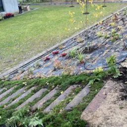 Kaskadowy ogród z nowo posadzonymi roślinami na czarnej folii, schody porośnięte mchem, w tle trawnik i drzewa. Widoczny system nawadniania.