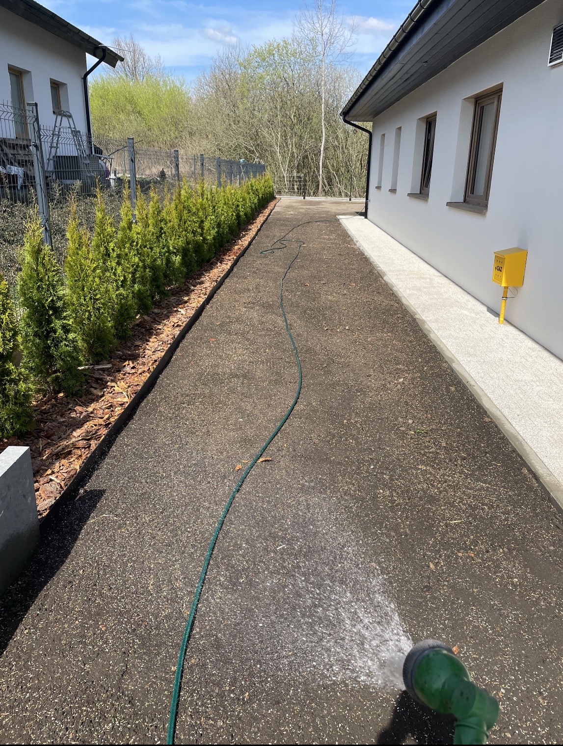 Nawadnianie gruntu pod trawnik z rolki. Zielony wąż ogrodowy i zraszacza w akcji. W tle rząd tuj i budynek z żółtą skrzynką gazową.