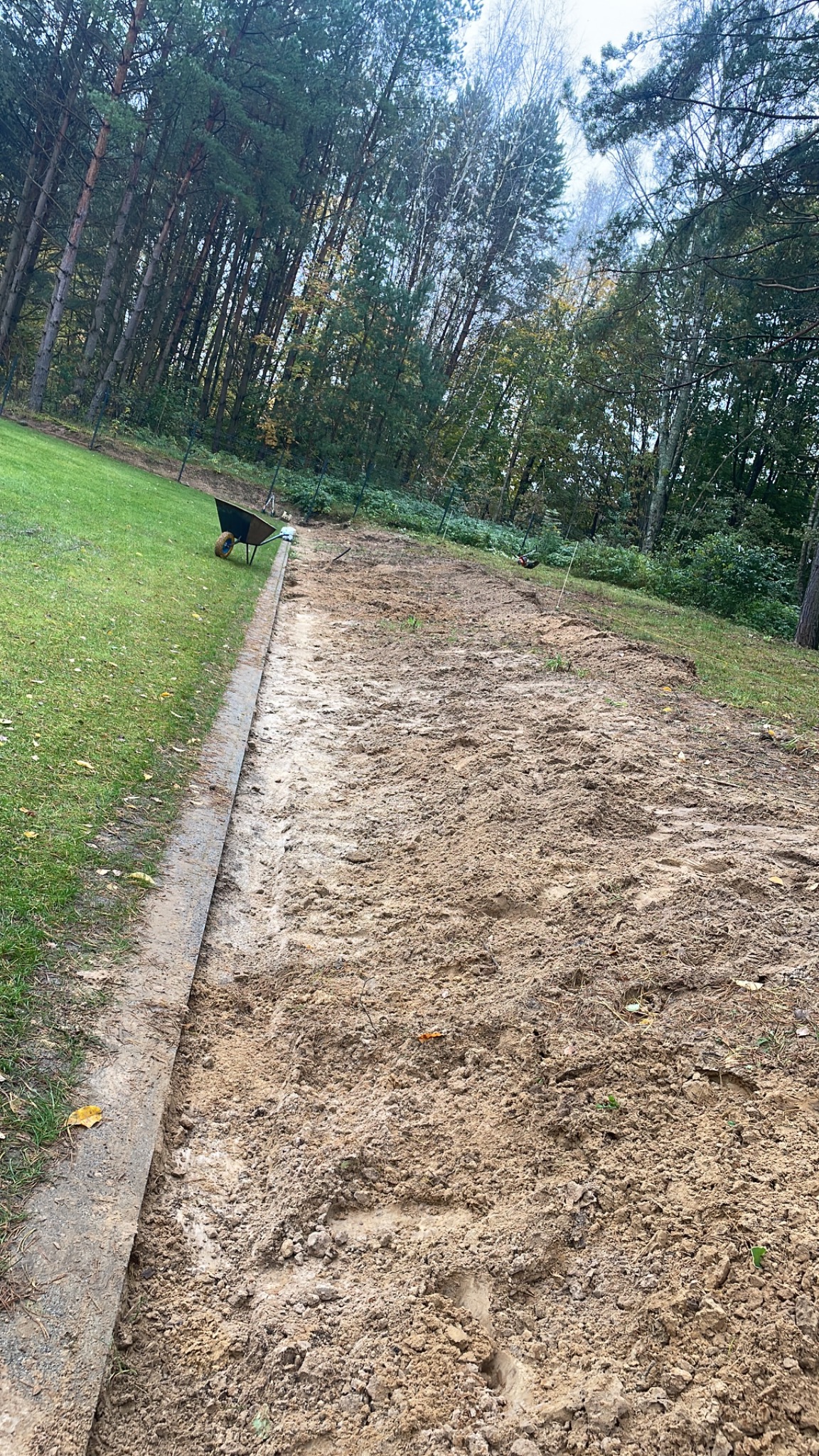 Przygotowany teren pod trawnik z rolki, widoczne ślady opon i obrzeże trawnikowe. W tle drzewa i taczka z narzędziami.