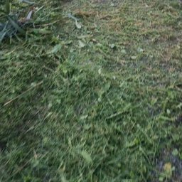 Odśnieżanie dróg i placów Głubczyce 2