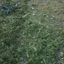 Odśnieżanie dróg i placów Głubczyce 3