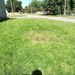 Uslugi Ogrodnicze Marcin Węgrzyn - Nierównomiernie skoszony trawnik z żółtymi kwiatami, widoczna droga i dom w tle. Częściowo zacieniony obszar trawy.