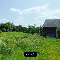 Uslugi Ogrodnicze Marcin Węgrzyn - Zarośnięty trawnik z budynkiem gospodarczym w tle w słoneczny dzień. Widoczne wysokie trawy i chwasty. Zdjęcie 'Przed' koszeniem lub pielęgnacją.