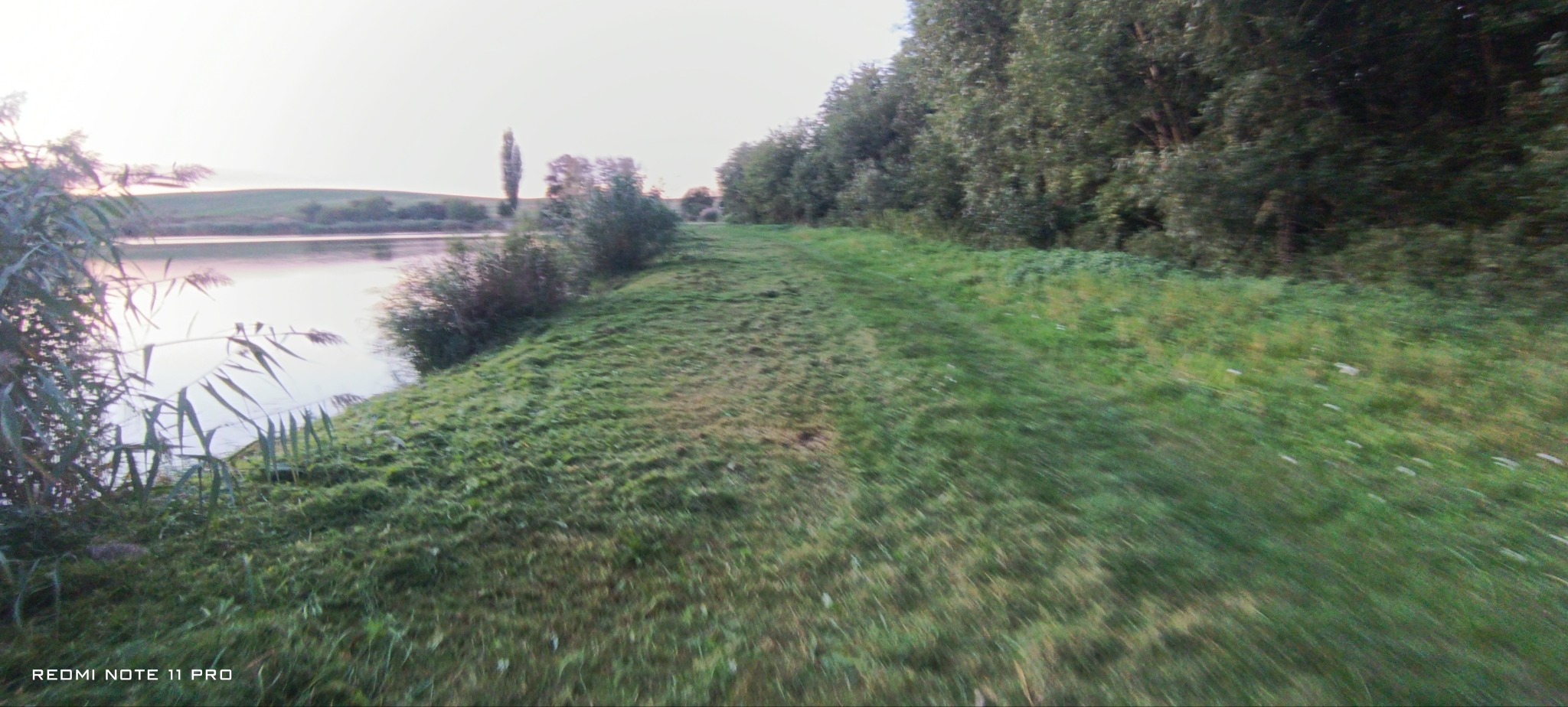 Świeżo skoszona trawa na brzegu jeziora, widok na drzewa i wzgórze w oddali, delikatne światło poranka.