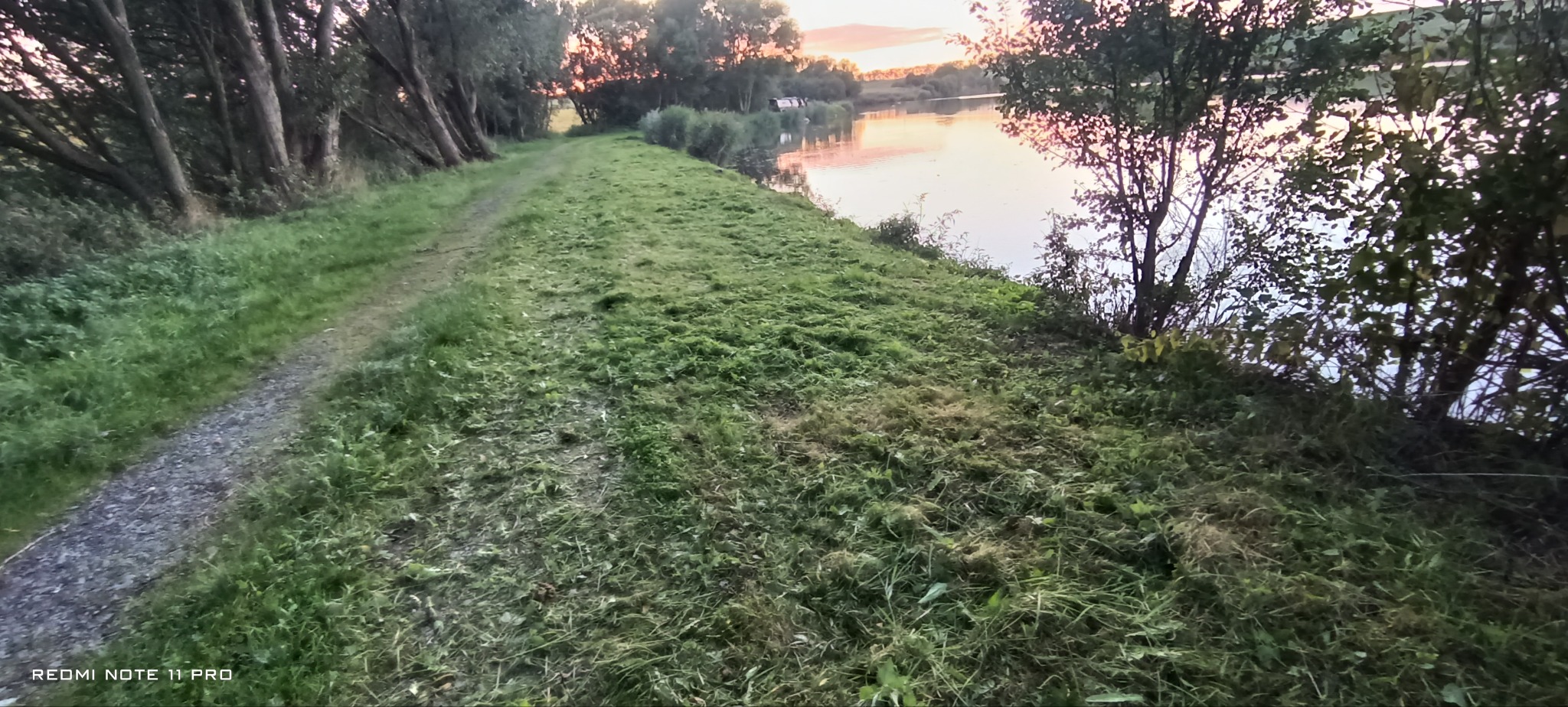 Świeżo skoszona trawa na nasypie obok ścieżki i jeziora o zmierzchu. Widoczne ślady po koszeniu i resztki trawy. W tle drzewa i budynek nad wodą.