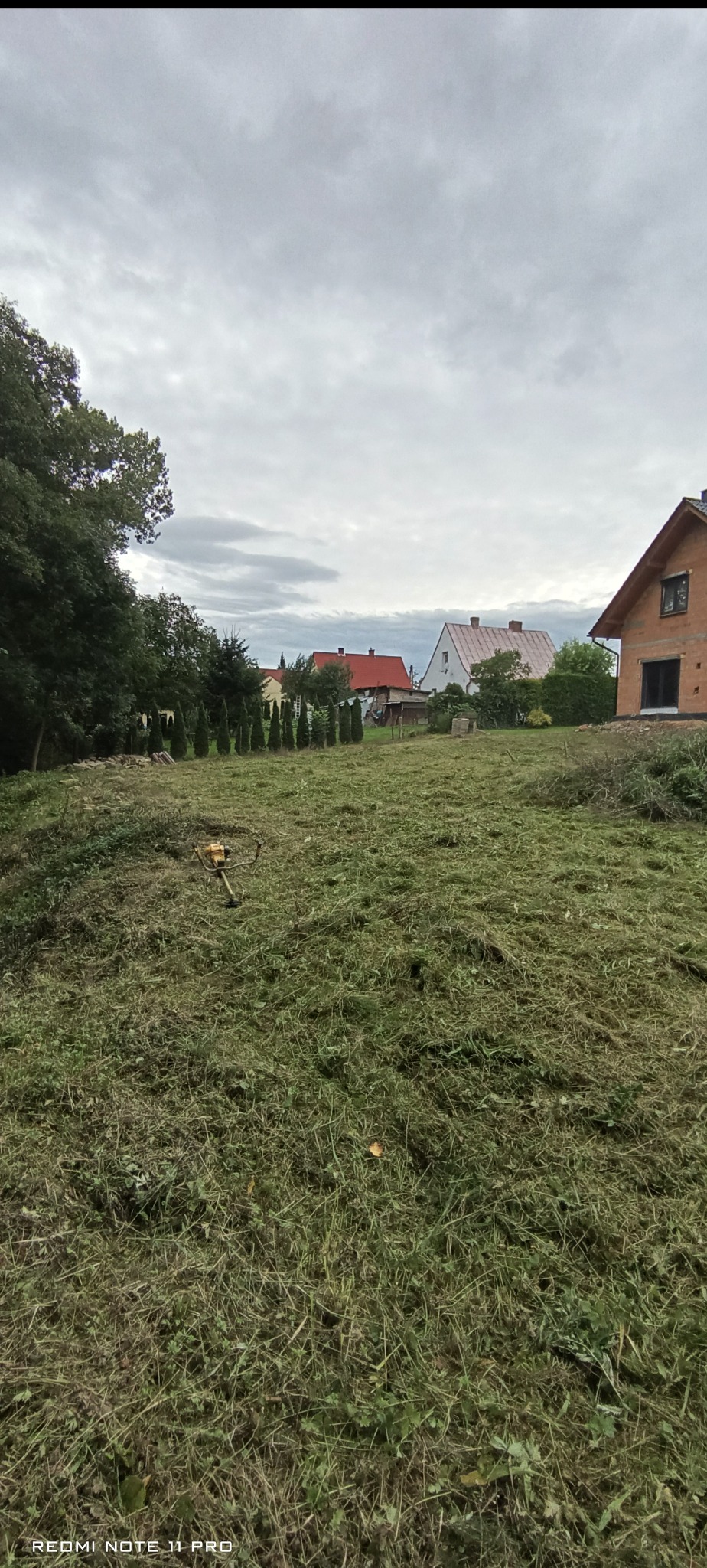 Świeżo skoszona trawa na działce z widoczną kosiarką spalinową, w tle domy i drzewa iglaste. Pochmurne niebo. Prace ogrodowe.