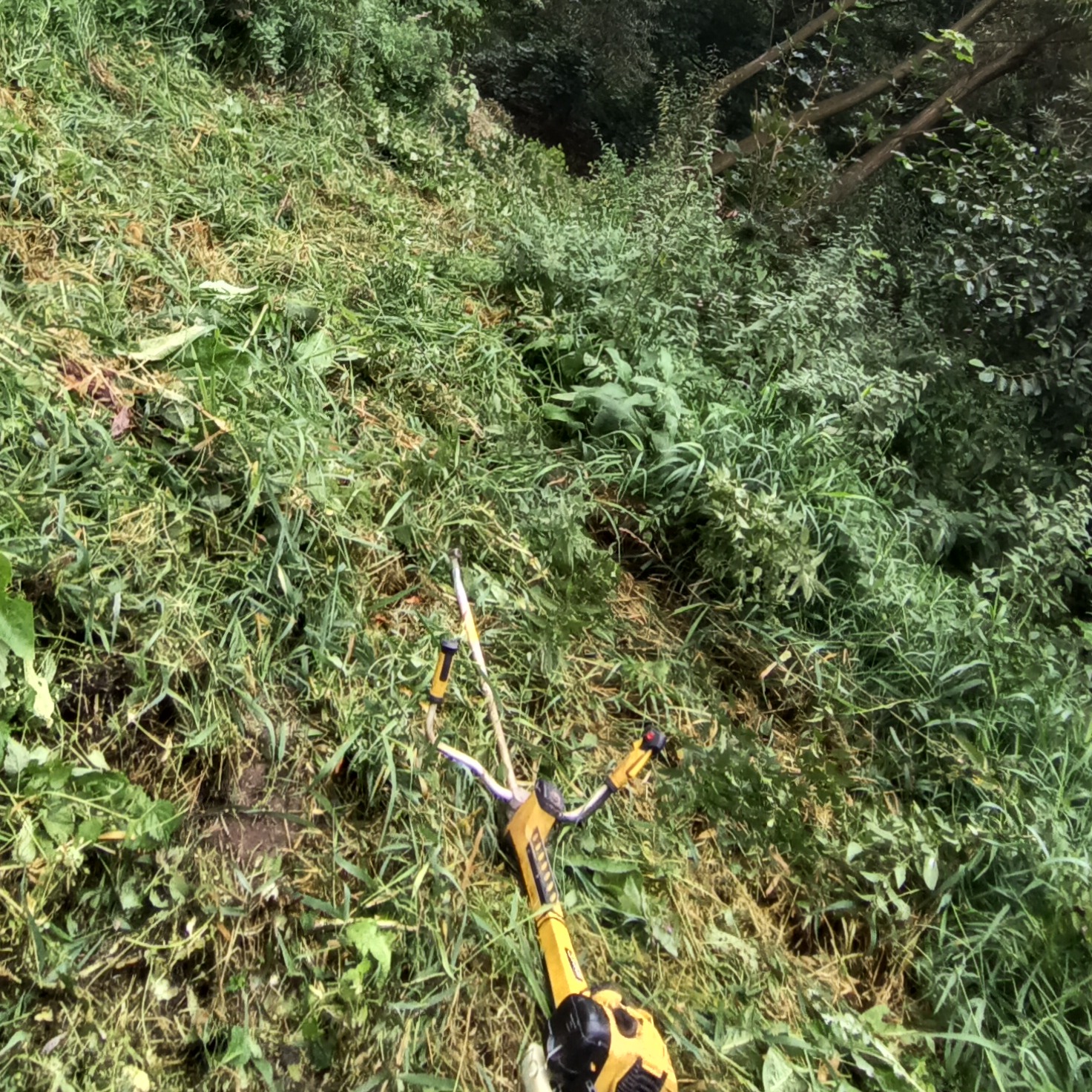 Żółty trymer do trawy na zboczu z częściowo skoszoną trawą, widok z góry. Świeżo skoszona trawa i bujna roślinność w tle.