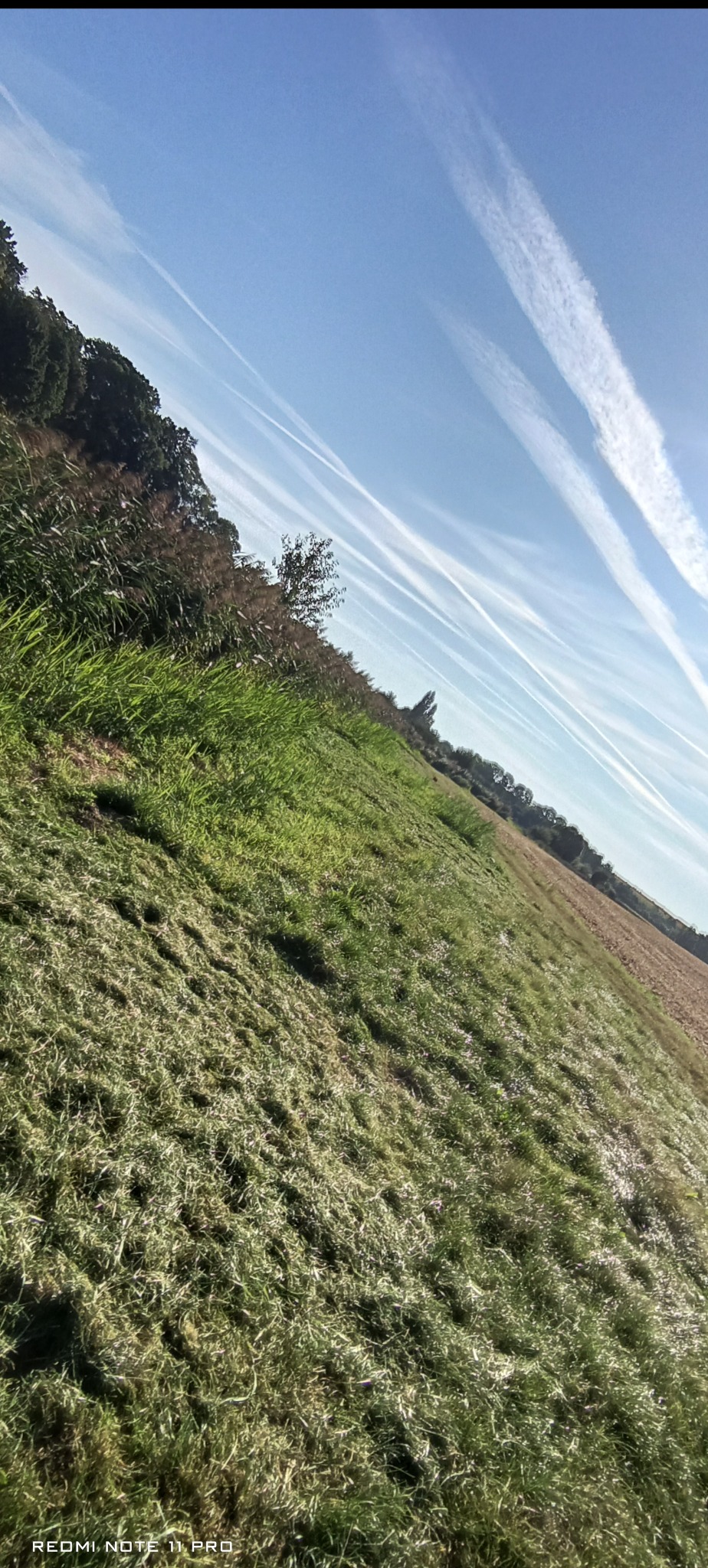 Świeżo skoszone pole trawy w słoneczny dzień, z widocznymi smugami kondensacyjnymi na błękitnym niebie. Kąt ujęcia podkreśla fakturę trawy i rozległość terenu.