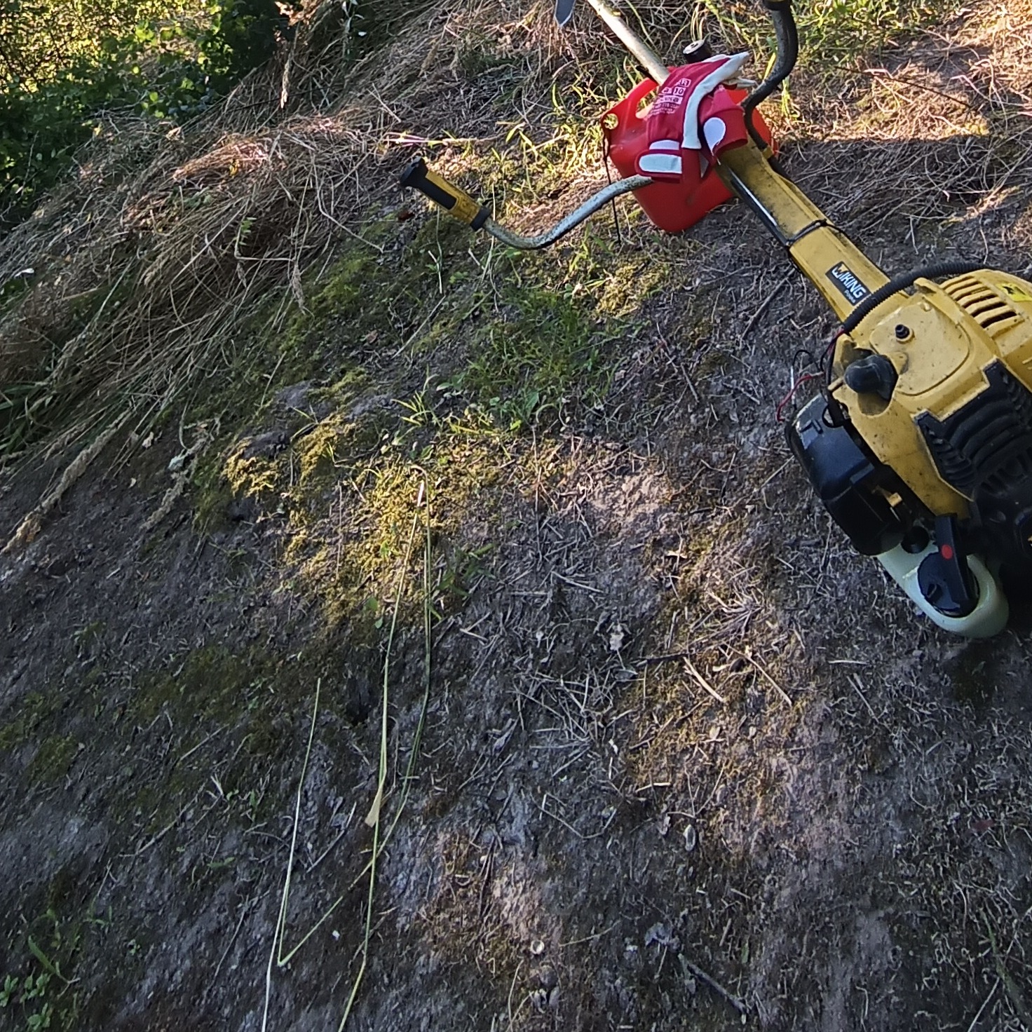 Żółta kosa spalinowa Viking leży na zboczu porośniętym trawą i mchem. Na kosie czerwone rękawice robocze. Widok z góry, w tle zarośla.