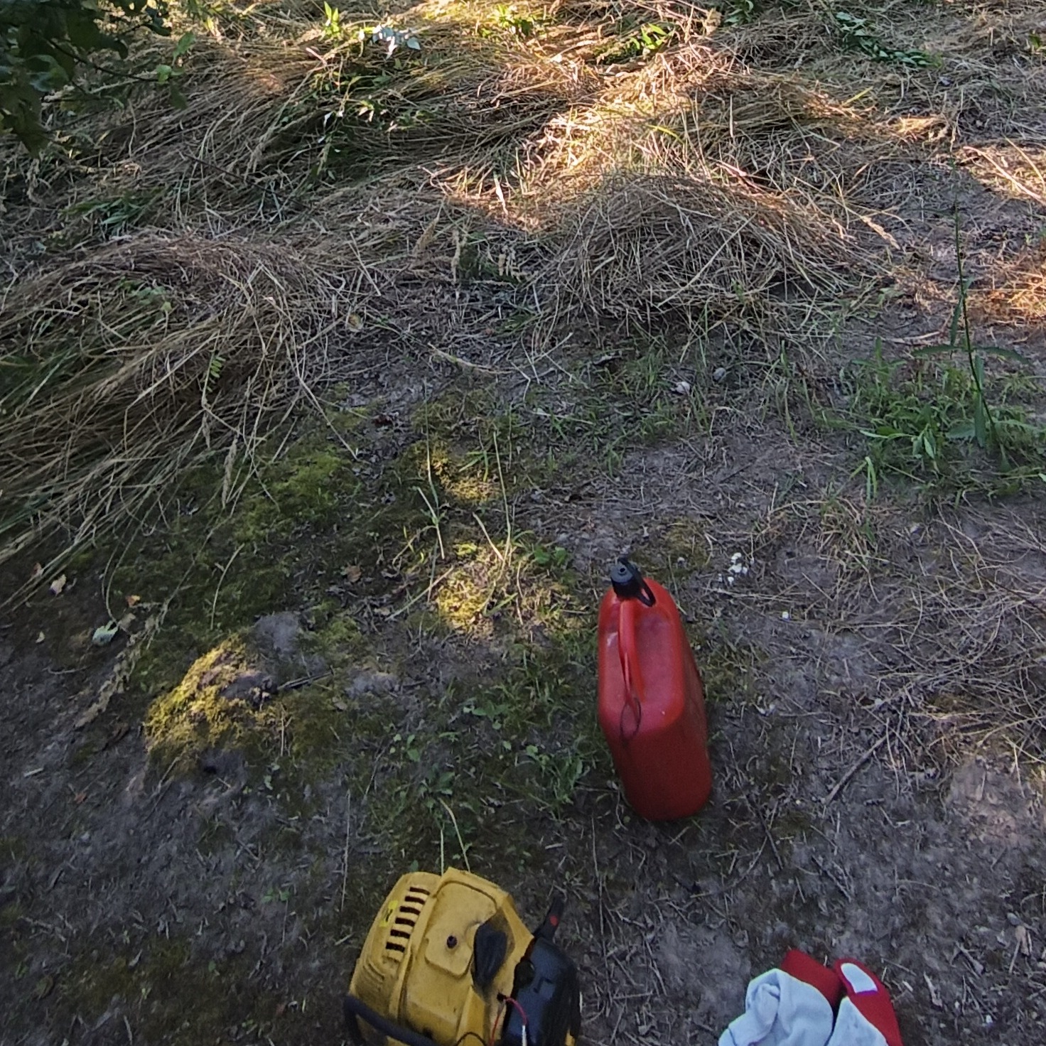 Żółta kosiarka spalinowa, czerwony kanister i rękawice robocze na trawie w Głubczycach. Sprzęt ogrodniczy po koszeniu trawy.