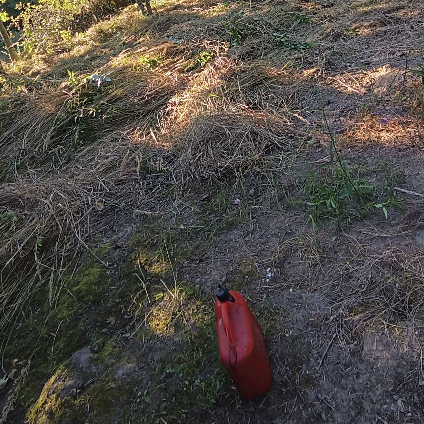 Czerwony kanister na tle suchej trawy i mchu na nierównym terenie, sugerujący prace ogrodowe lub przygotowania do nich w słoneczny dzień.