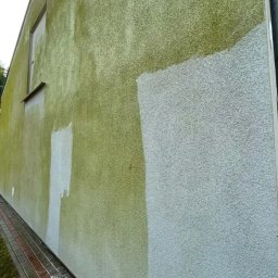 VADYM FEDORCHUK FIRMA USŁUGOWA - Czyszczenie elewacji budynku: widoczny efekt przed i po, z zielonym nalotem usuniętym w części powierzchni, ukazując czysty, szary tynk.