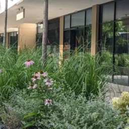 Zaprojektowana i zrealizowana przez nas zieleń w Royal Tulip przy ul. Grzybowskiej w Warszawie.