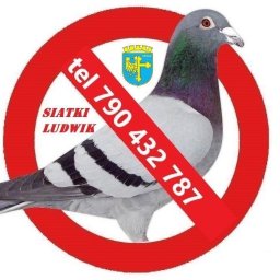 Siatki Ludwik - Malarz Opole