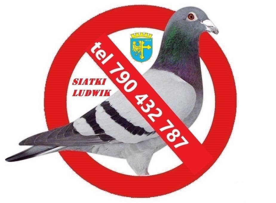 Grafika z gołębiem pocztowym, przekreślonym czerwonym okręgiem z numerem telefonu i napisem 'Siatki Ludwik', herb Opola w tle.
