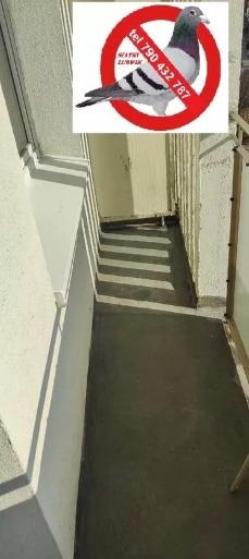 Szary balkon po renowacji z naklejką odstraszającą gołębie. Widok z góry, pionowe ujęcie. Cień barierki tworzy wzór na podłodze.