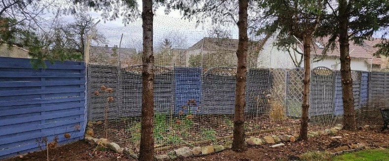 Niebieskie, drewniane ogrodzenie panelowe z siatką zabezpieczającą młode drzewka. Widoczne elementy dekoracyjne i kamienne obrzeże rabaty. Tło: zabudowa jednorodzinna.