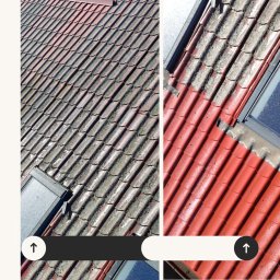 Mateusz Zając - Mycie blachodachówka z użyciem chemi i gorącej wody