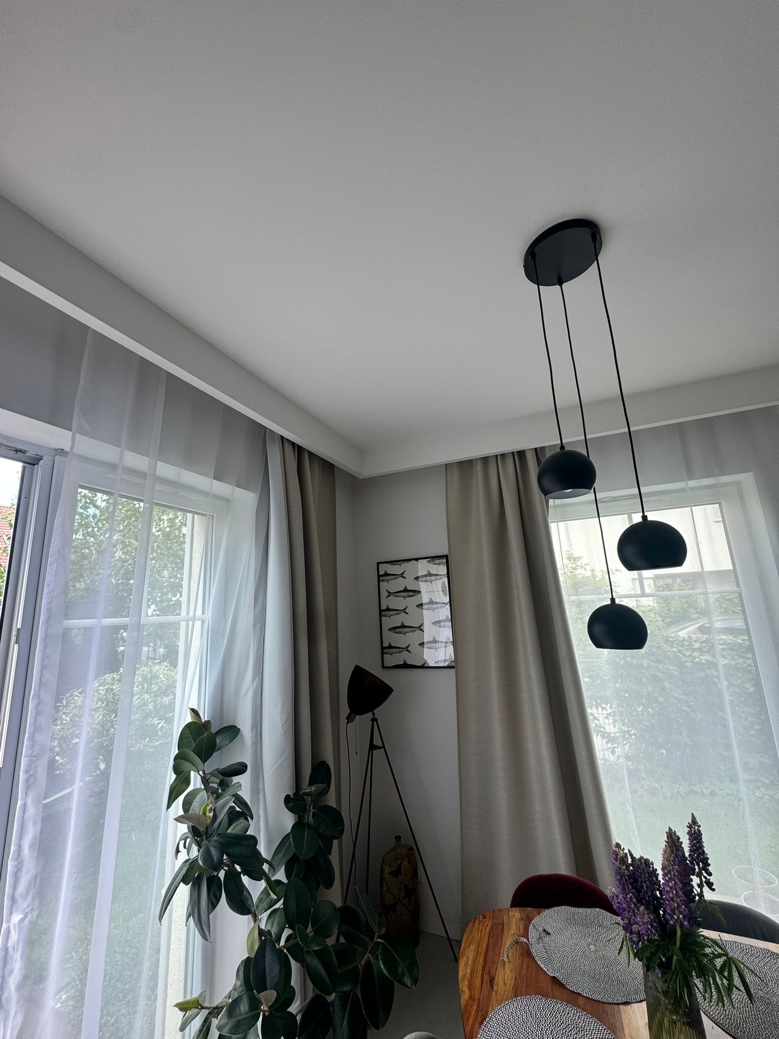 Jasne wnętrze z oknami przysłoniętymi firanami i zasłonami, nowoczesną lampą wiszącą, rośliną doniczkową i dekoracjami. Minimalistyczny design z akcentami natury.