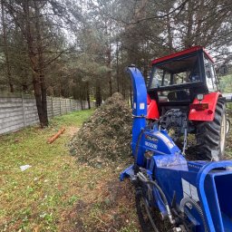 Wycinka drzew Sosnowiec 1