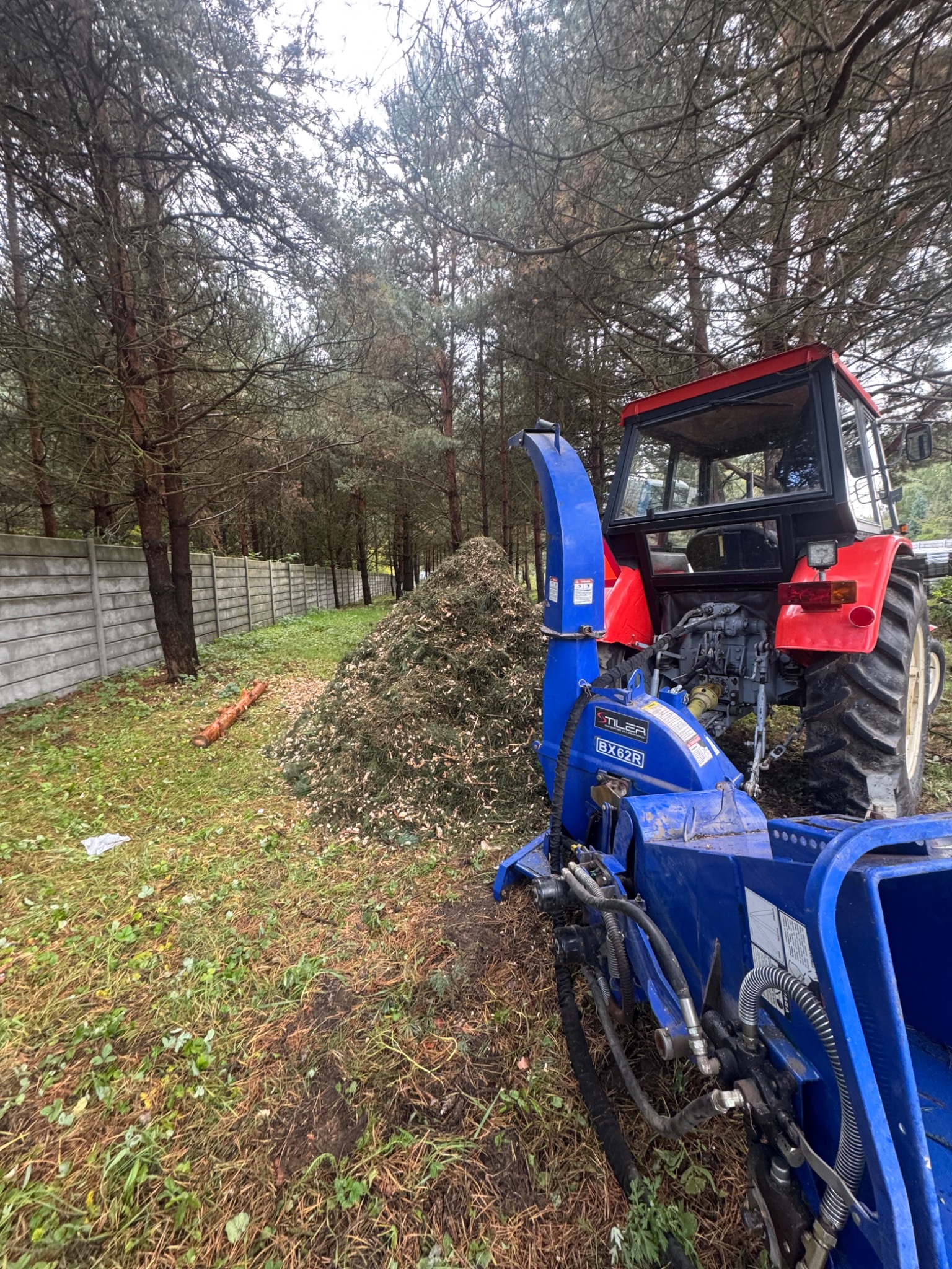 Czerwony traktor z niebieskim rębakiem do gałęzi na tle sterty zrębków i drzew. Po lewej stronie widoczny betonowy płot.