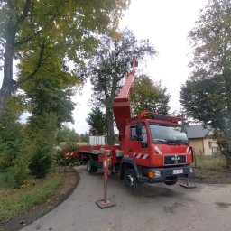 las bar Piotr Burda - Tanie Mycie Dachów Hrubieszów