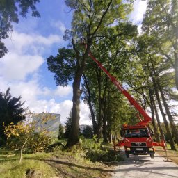 las bar Piotr Burda - Godna Zaufania Firma Ogrodnicza Hrubieszów