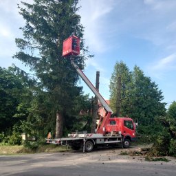 las bar Piotr Burda - Tanie Mycie Dachów Hrubieszów