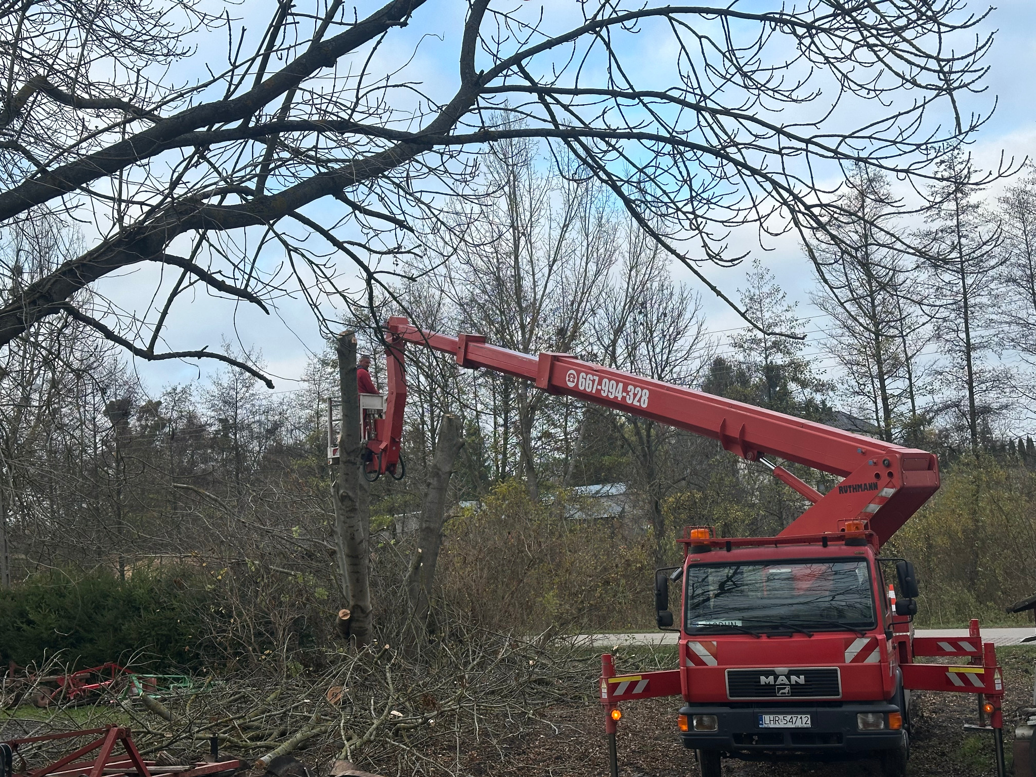 Cięcie drzewa z podnośnika koszowego MAN. Czerwony podnośnik Ruthmann z numerem telefonu na tle drzew i nieba. Ścięte gałęzie leżą na ziemi.