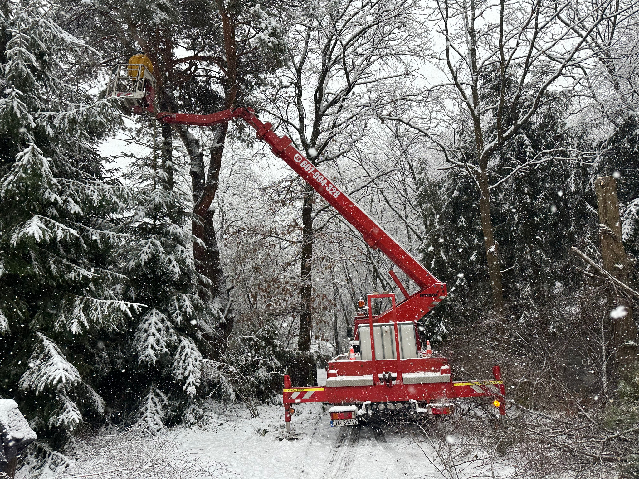 Czerwony podnośnik koszowy w zimowej scenerii, podczas pracy w lesie. Śnieg pada, gałęzie leżą na ziemi. Widoczny numer telefonu na ramieniu maszyny.